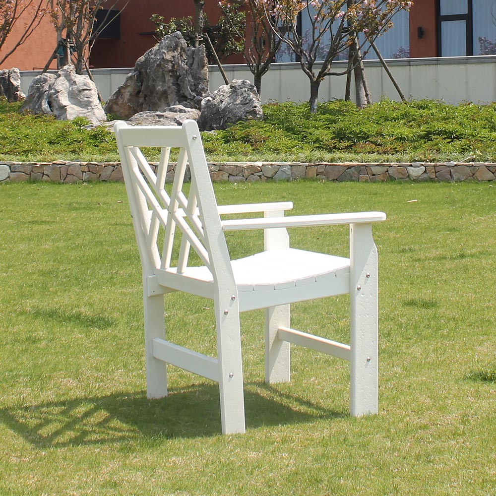 DSM005 HDPE Morden Dining Chair Classic Design for Patio Garden Deck Lawn Bedroom Houseroom 